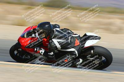 media/Feb-13-2022-SoCal Trackdays (Sun) [[c9210d39ca]]/Turn 15 Inside Speed Shots (11am)/